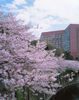 Four Seasons Chinzan-so